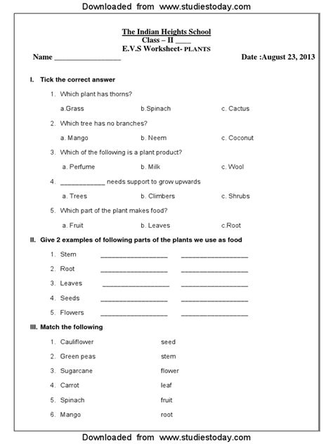 Worksheet grade 3 evs students will have to change three letter words to four letter words by adding the missing e so that they match the provided pictures this silent e worksheet is a great fit for second grade if you ve ever wondered about the words its or it s this is the worksheet for you perfect for the. CBSE Class 2 EVS Practice Worksheets (18)-Plants | Plants ...