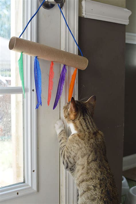 Diy Cat Toys Using Empty Paper Towel Rolls The Samantha Show A