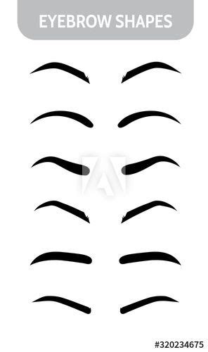 Set Eyebrow Shapes Various Types Of Eyebrows Trimming Vector