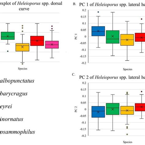 Boxplots Of Interspecific Analysis Pc1 For Both The Dorsal Curve A Download Scientific