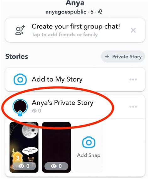 Private Snapchat Story Telegraph