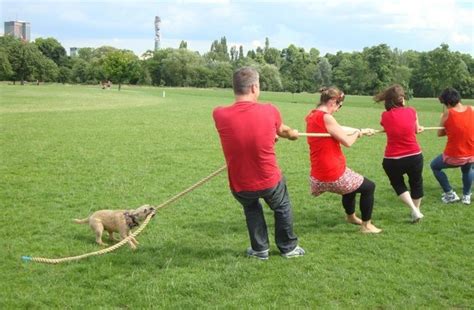 10 Dogs In A Battle Of Tug Of War That Are Simply Adorable Page 2 Of