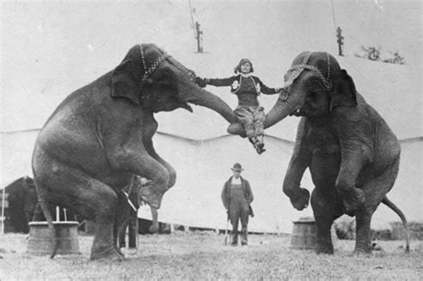49 Vintage Photos Showing How Circuses Have Changed Significantly Over