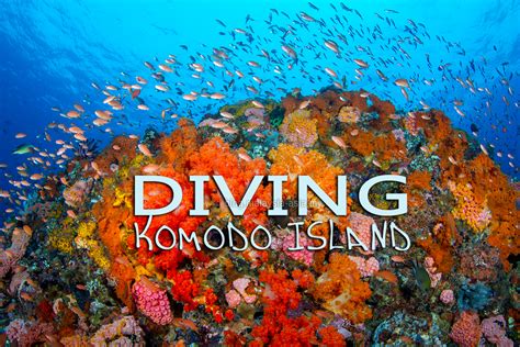 Diving At Komodo Island