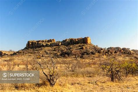 View Of Mapungubwe Hill Mapungubwe National Park Limpopo Province