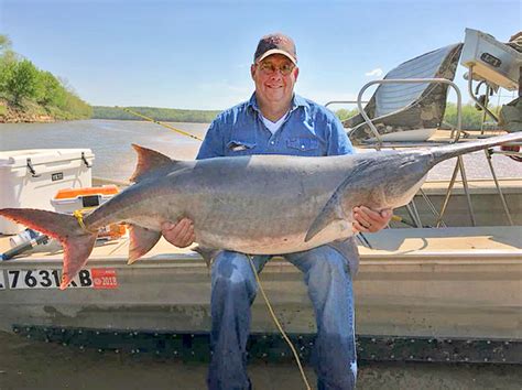 New State Record Paddlefish Weighs 1325 Pounds Oklahoma Department