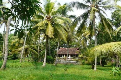 Philipkuttys Farm Kottayam Kerala Villa Reviews Photos Rate Comparison Tripadvisor In