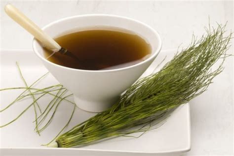 Chá De Cavalinha Benefícios Usos E Efeitos Colaterais Celeiro Do