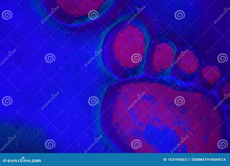 Bloody Foot Prints Stock Photos Free And Royalty Free Stock Photos From