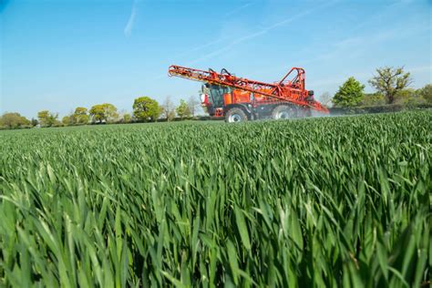Protecting Global Crop Yields From Disease News From Aa Farmer