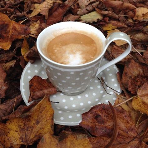 An Autumn Monday Morning Coffee Morning Coffee Good
