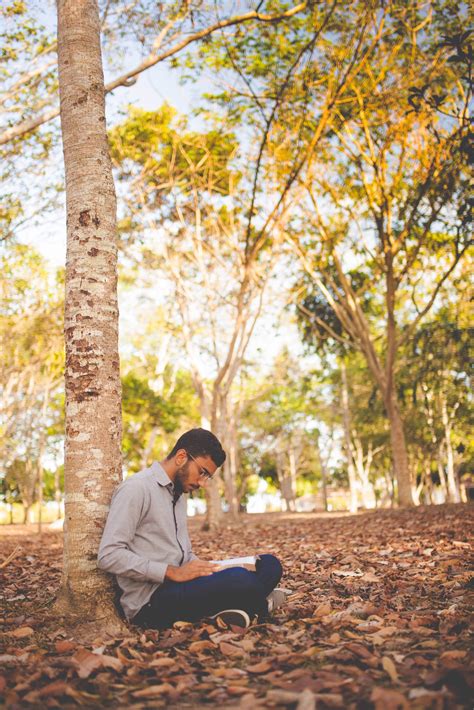 Man sitting under tree in forest reading book - PICNOI