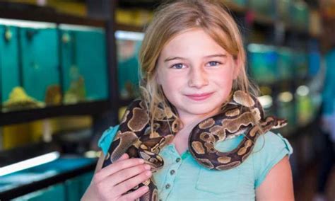 The Pros And Cons Of Owning A Pet Snake The Reptile Pro