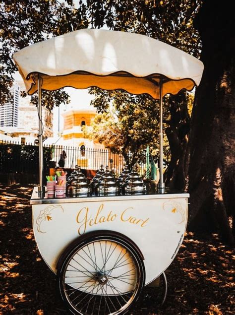 You can make yourself some zevia floats or cream soda and have a fun day in the sun! Retro style icecream carts for weddings - Australia | Food ...