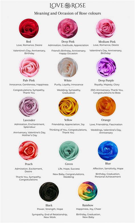 Rose Colour Meaning Guide [ Chart For Download] Loverose