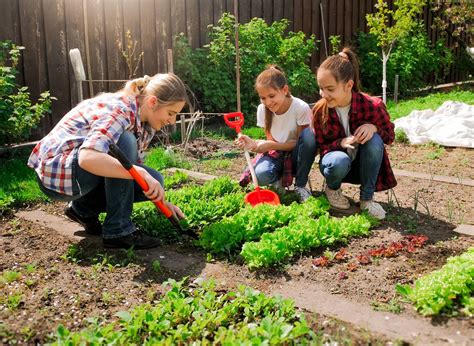 Wsmagnet Blog 6 Tips For Engaging Your Children With Gardening