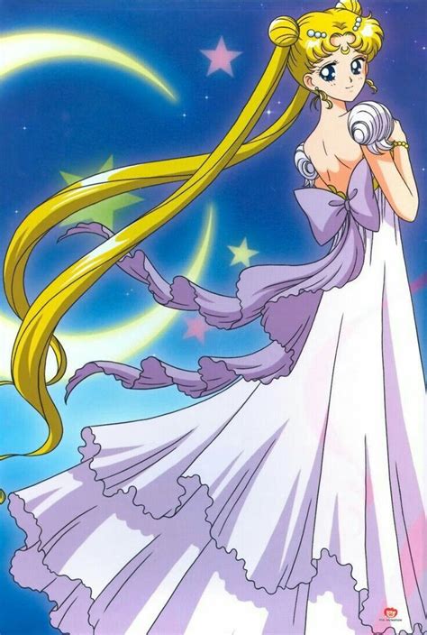 Princess Serenity Sailor Moon Character Sailor Moon Manga Sailor Moon Usagi