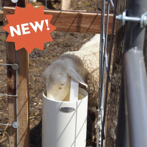Sheep Goat Automatic Waterer Ultimate Drinking Post Automatic Waterer