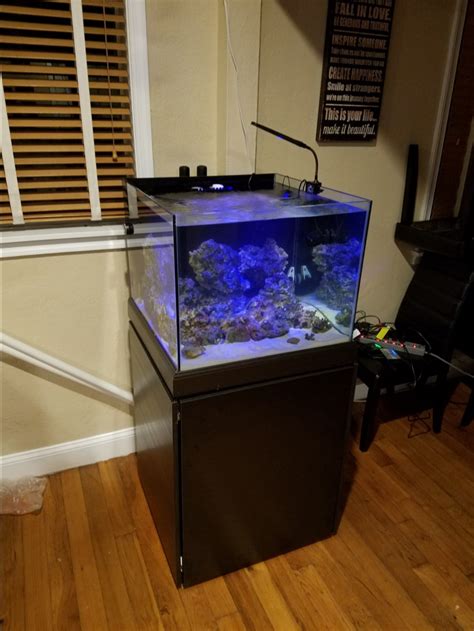 45 Gal Rimless Cube From A 55 Gal Long Reef2reef Saltwater And Reef