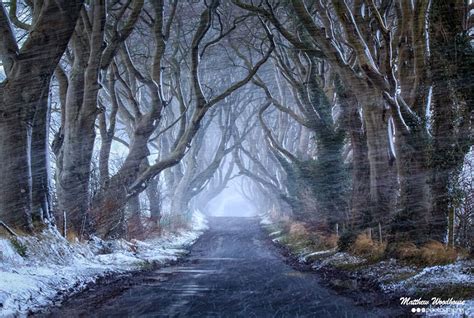 The Stunning Tree Tunnel You Saw On ‘game Of Thrones Is Real And Can