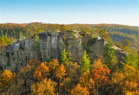 Fun Things To Do In Red River Gorge Cliffview Resort