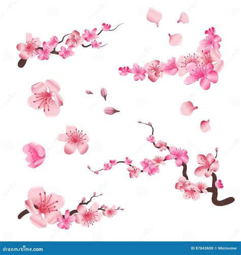 Cherry Blossom Japanese Sakura Vector Icon Set Vector Illustration 73219410