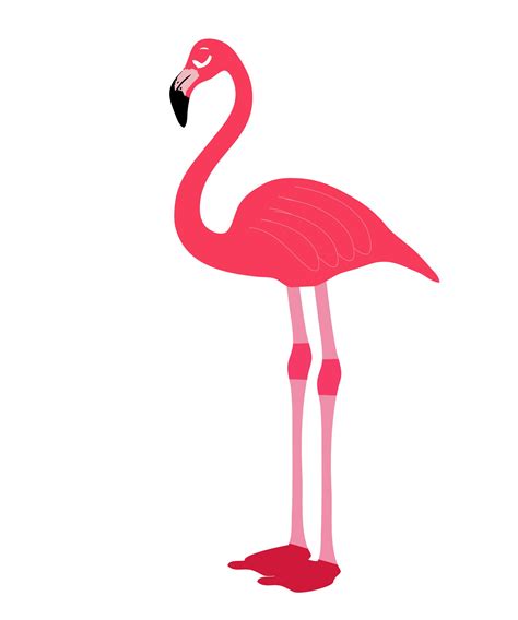 Flamingo Clipart Image Nerdwhy