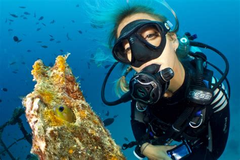 9 Guidelines For A Protected Ascent And Descent Whilst Scuba Diving