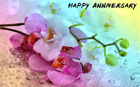 Anniversary Pictures Images Graphics