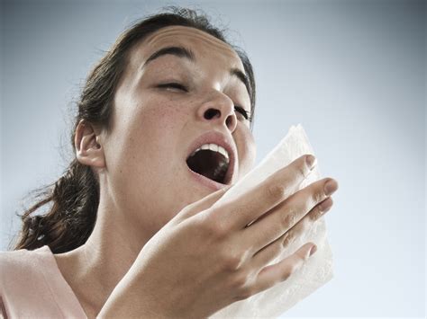 Nose Sneezing Deals Online Save 42 Jlcatj Gob Mx