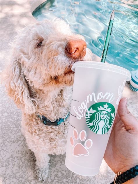 What Is The Puppy Drink At Starbucks