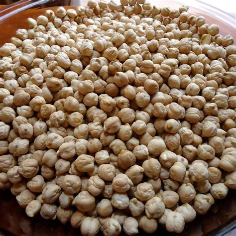 Chick Peas Pack Size Kilogram Kg At Rs Kilogram In Valsad ID