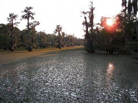 Check spelling or type a new query. Lake Bistineau to be Drawn Down Beginning May 1, 2017