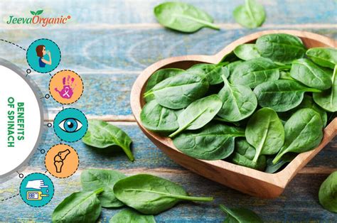 Nutrition Facts And Health Benefits Of Spinach Spinach Benefits