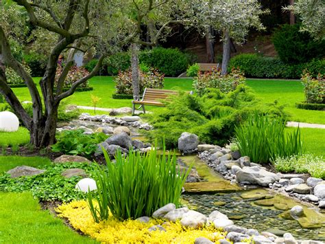 Chilopsis linearis lucretia hamilton is a small, native tree that fits well into smaller yards and under power lines. parks, Stones, Stream, Shrubs, Grass, Nature Wallpapers HD ...
