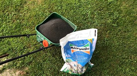 Miracle gro is only lawn water soluble that has immediate, noticeable results. Can Milogranite and Miracle Gro Lawn Food save the lawn ...