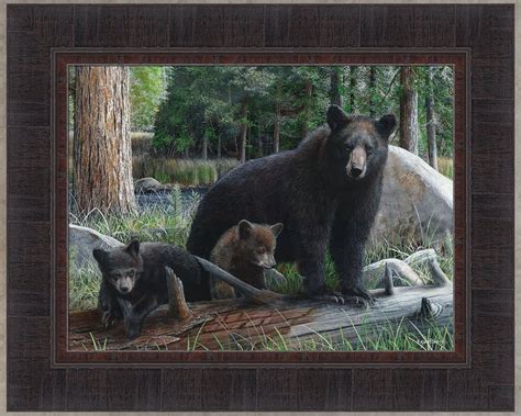 New Discoveries By Kevin Daniel 17x21 Black Bear Cub Cubs Bears Art For