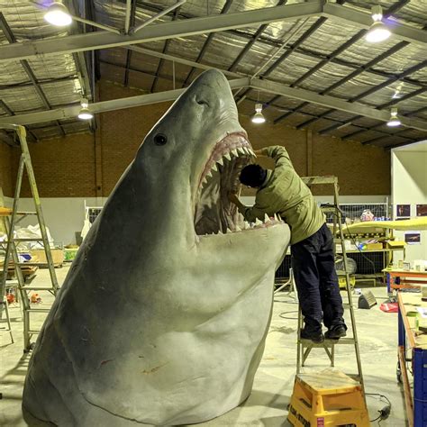 Worlds Largest Megalodon Shark
