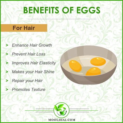 Amazing Benefits Of Egg Yolk For Hair Growth Uses And Side Effects