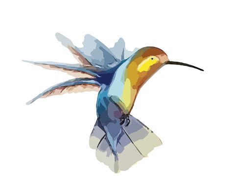 Download Hummingbird Bird Animal Royalty Free Vector Graphic Pixabay