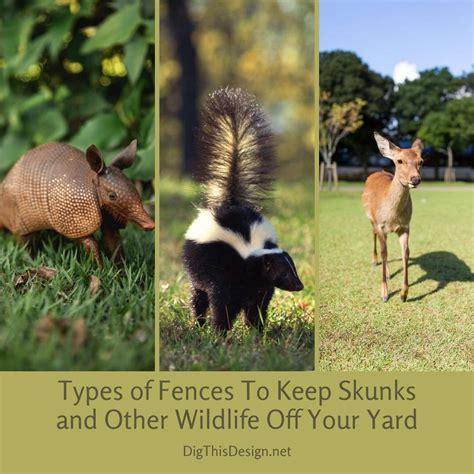 If there are kits in the hole, it is best to hire a professional to get them out of your home. Types of Fences To Keep Skunks and Other Wildlife Off Your ...