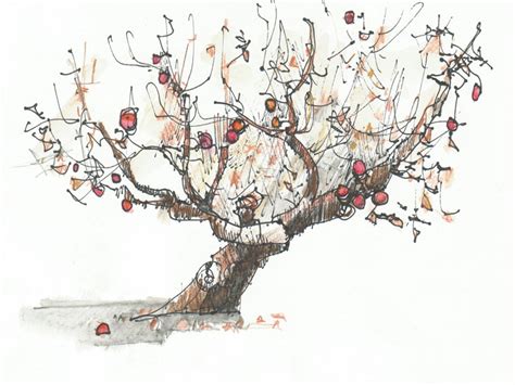 Vector art green apple tree full of red apples clipart. Apple Tree Drawing - Peter Huntoon