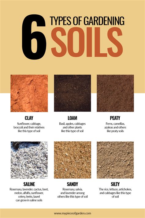 Soil conditioners also improve the. Gardening with soil tips : which soil should you use ...