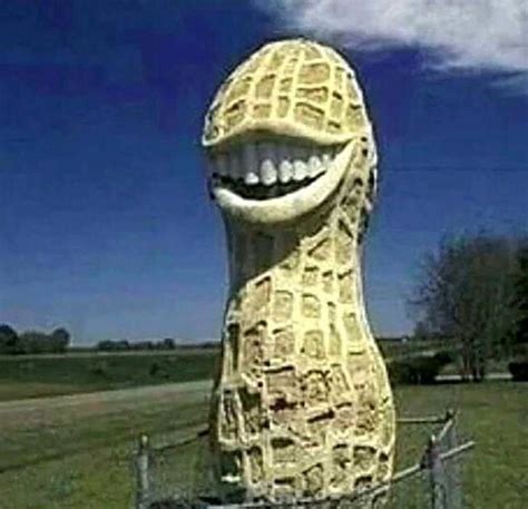 Cursed Images Artofit
