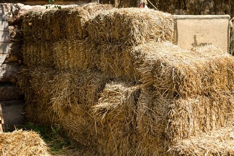 Hay Bale Facts And Figures Sizes Types Costs