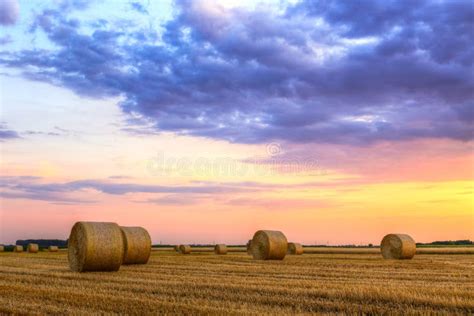 Sunset Over Farm Field With Hay Bales Stock Photo Image Of Farmland