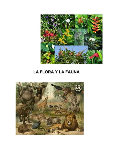 la flora y la fauna pdf