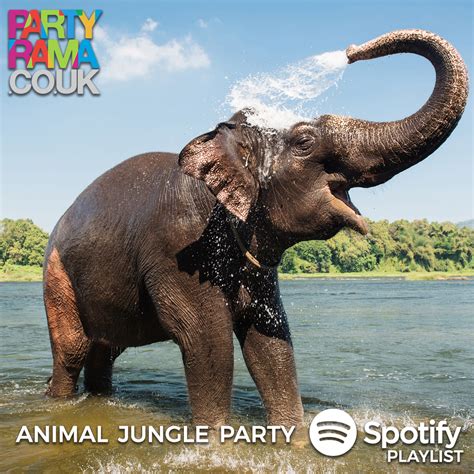 Animal Party Music - Spotify Playlist | Partyrama Blog