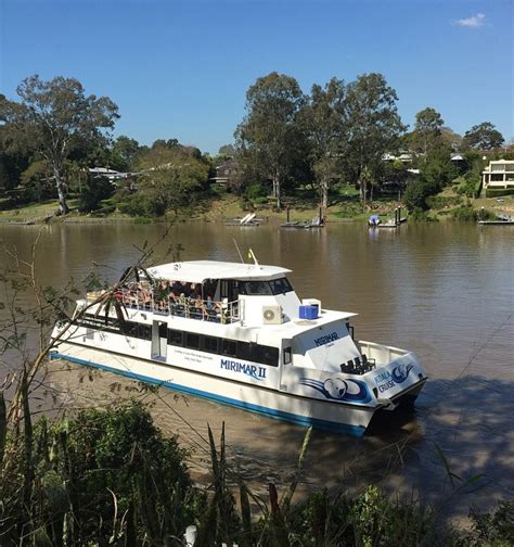 Koala And Brisbane River Cruise Taking Locals And Visitors To Lone