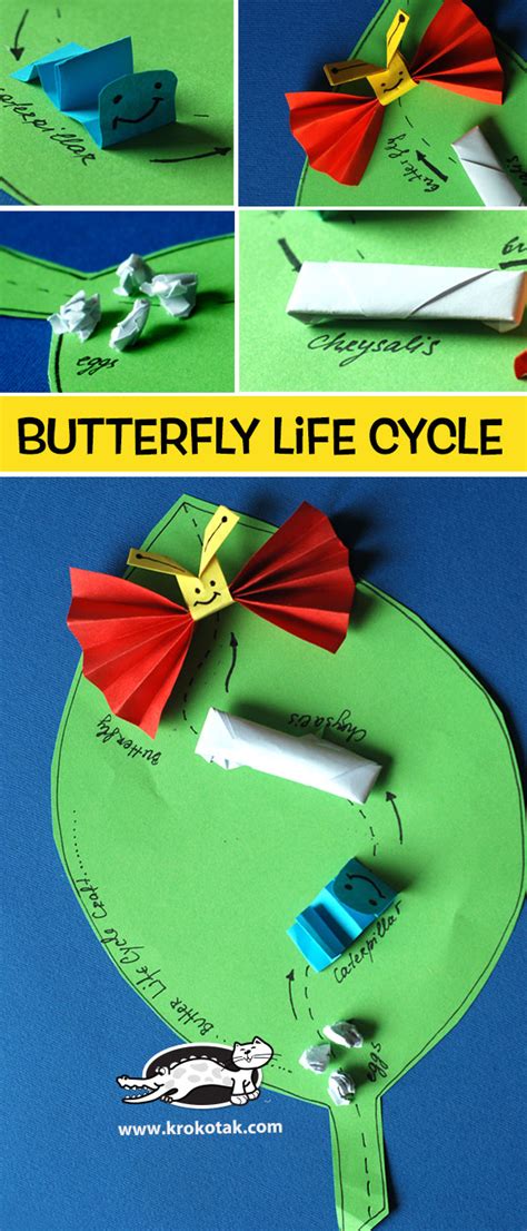 Krokotak Butterfly Life Cycle Craft